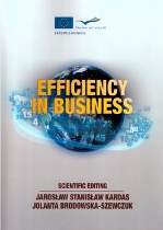 2013_efficiency_in_business